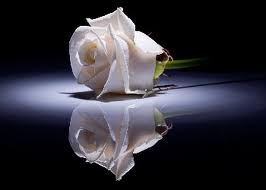 for one of MY best,loving,SWEET ,BEAUTIFUL,and caring FRIEND